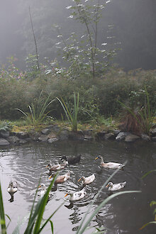 Ferienhaus in Englmar